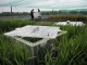 Measuring greenhouse gas - CIAT @ Flickr
