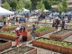 People's Garden - USFS Region 5 @ Flikcr