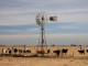 Rural Energy - Irargerich @ Flickr