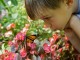 A boy and butterfly - Public Domain Images