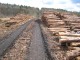 Log piles - Oliver Dixon @ Geograph.org.uk