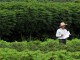 Cassava field - Neil Palmer CIAT @ Fotopedia