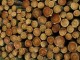 Timber - David Wright @ Geograph.org.uk