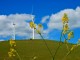 Flowers at a wind farm - Scott Bedard @ Fotopedia