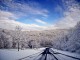 Snow in Pennsylvania - Nicholas A. Tonelli
