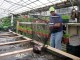 Urban Agriculture - Wikimedia Commons