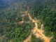 Logging road in East Kalimantan - Aidenvironment