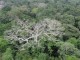 Megadrought in Amazon rainforest - NASA - JPL-Caltech