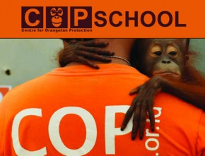 COP Orangutan