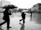 Rain dance - Stephen Wright