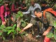 Jejak badak - WWF Indonesia