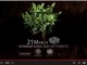 International Day of Forest 2013