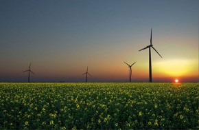 Alternative energies in Germany - Jurgen