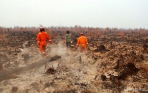 Fire Fighting ijn Riau