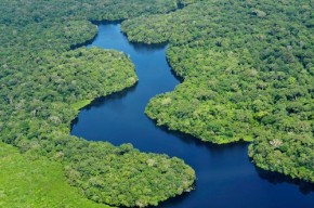Amazonas Forest - Fotopedia (500x332)