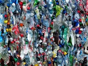 Plastic bottles - Hans - Pixabay (500x375)