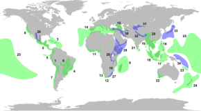 640px-Biodiversity_Hotspots.svg