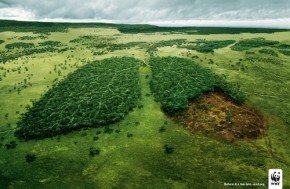 Before its too late - WWF (500x326)