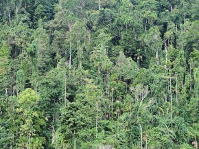 Lolobata National Park - Wikimedia Commons