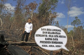 Forest Fires Documentation in Riau