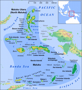 Maluku_Islands_en - Wikipedia