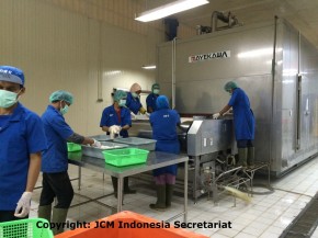 Pembekuan ikan pabrik Karawang - JCM Indonesia Secretariat