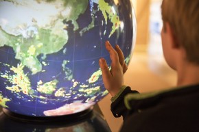 Pufferfish - UNEA - UNEP