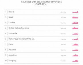 10 Negara Kehilangan Tutupan Pohon Terbanyak