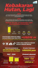 Lagi Lagi Kebakaran Hutan