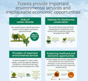 Manfaat Hutan Bagi Dunia
