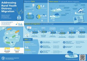 Migrasi Anak Muda dari Desa