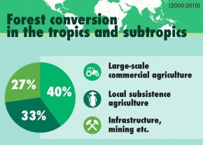 Penyebab Deforestasi