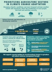Pertanian Fokus Adaptasi Iklim