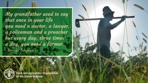 Petani Pahlawan Tanpa Tanda Jasa