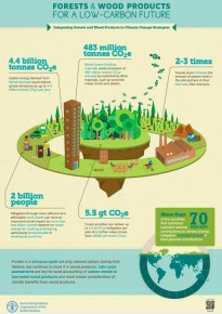 Potensi Mitigasi dari Sektor Kehutanan