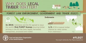 Produk Kayu Legal Penting