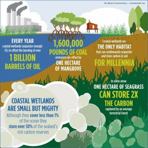 Hutan Indonesia Aset Dunia