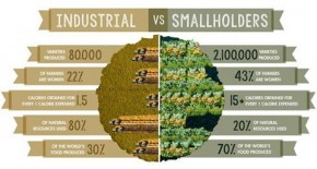 Industri Perkebunan vs Petani Kecil