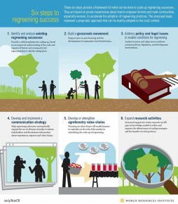 Inilah Enam Kunci Sukses Penghijauan