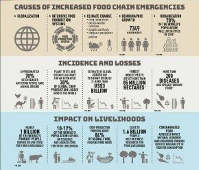 Risiko Rantai Pasokan Pangan