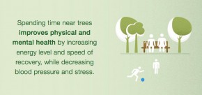 Anda Stres Pohon Obatnya