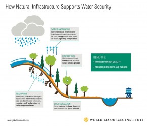 Cara Alam Mengolah Air Bersih untuk Anda