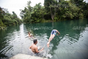 Hutan Desa Pertama di Papua