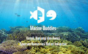 Marine Buddies