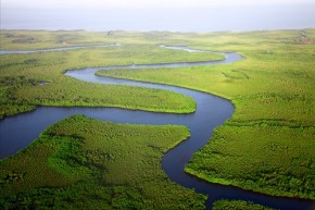 Wetland - pexels-photo-24556